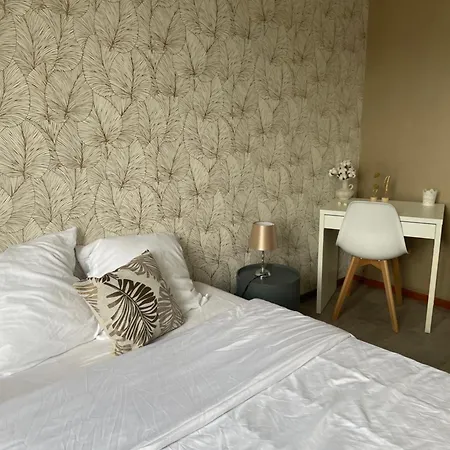 Charmant Appartement Avec Grande Capacite D'Accueil Saint-Jacques-de-la-Lande Exterior foto